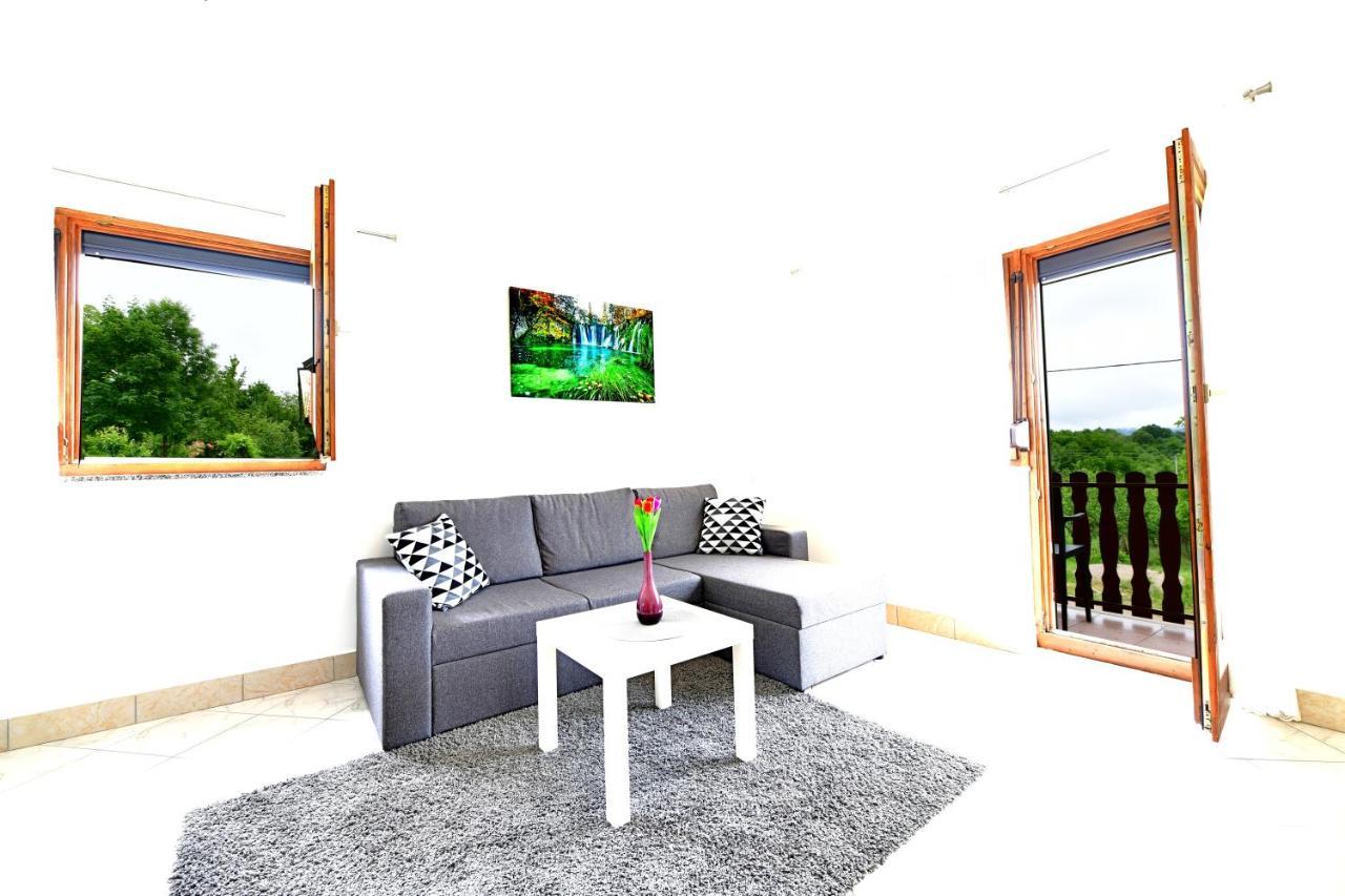 Apartman Mate Rakovica Extérieur photo